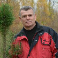 Отзыв от Николай - DTV виза